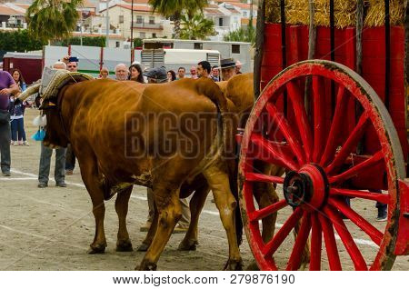 Almayate, Spain - April 21, 2018 Traditional Andalusian Contest Based On The Presentation Of The Abi