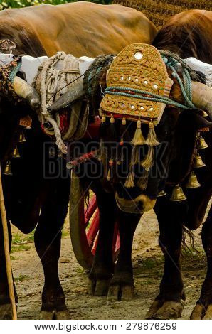 Almayate, Spain - April 21, 2018 Traditional Andalusian Contest Based On The Presentation Of The Abi
