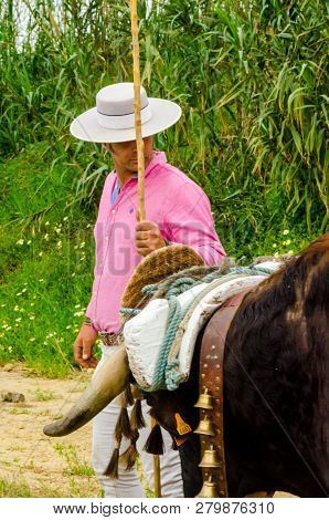 Almayate, Spain - April 21, 2018 Traditional Andalusian Contest Based On The Presentation Of The Abi