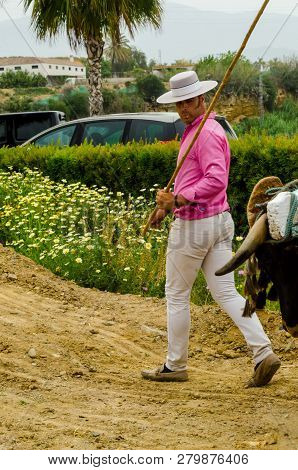 Almayate, Spain - April 21, 2018 Traditional Andalusian Contest Based On The Presentation Of The Abi