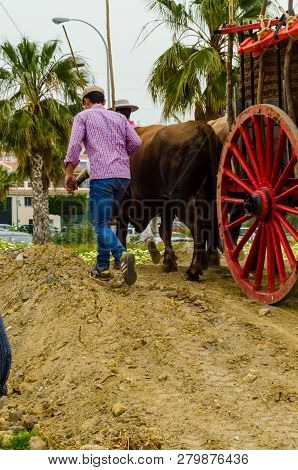 Almayate, Spain - April 21, 2018 Traditional Andalusian Contest Based On The Presentation Of The Abi