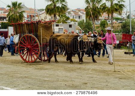 Almayate, Spain - April 21, 2018 Traditional Andalusian Contest Based On The Presentation Of The Abi