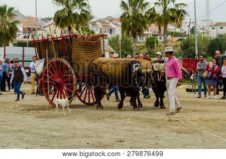 Almayate, Spain - April 21, 2018 Traditional Andalusian Contest Based On The Presentation Of The Abi