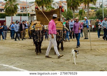 Almayate, Spain - April 21, 2018 Traditional Andalusian Contest Based On The Presentation Of The Abi