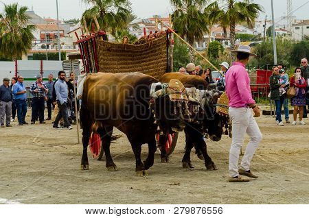 Almayate, Spain - April 21, 2018 Traditional Andalusian Contest Based On The Presentation Of The Abi