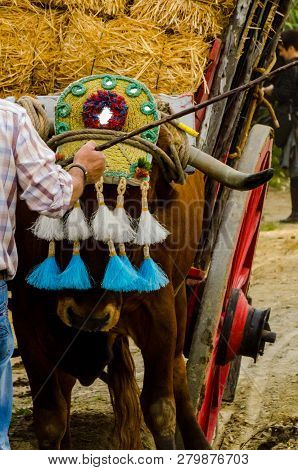 Almayate, Spain - April 21, 2018 Traditional Andalusian Contest Based On The Presentation Of The Abi