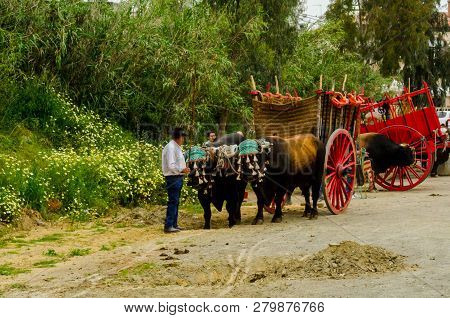 Almayate, Spain - April 21, 2018 Traditional Andalusian Contest Based On The Presentation Of The Abi