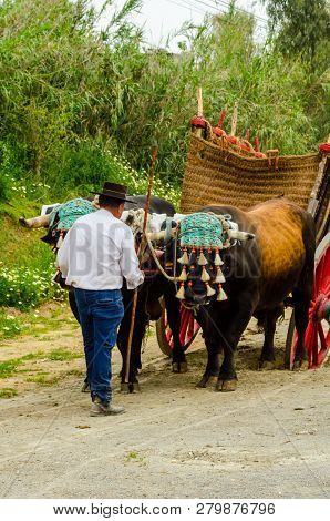 Almayate, Spain - April 21, 2018 Traditional Andalusian Contest Based On The Presentation Of The Abi