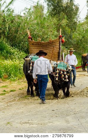 Almayate, Spain - April 21, 2018 Traditional Andalusian Contest Based On The Presentation Of The Abi