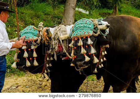 Almayate, Spain - April 21, 2018 Traditional Andalusian Contest Based On The Presentation Of The Abi