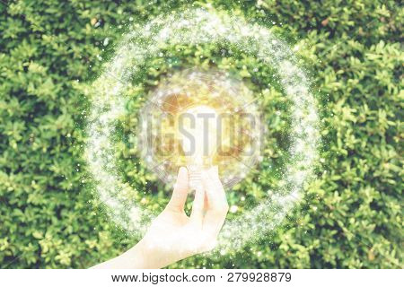 Hand Holding The Light Bulb Against The Green Leave Wall Wiht Fake Sunlight On Wire Globe Frame In E