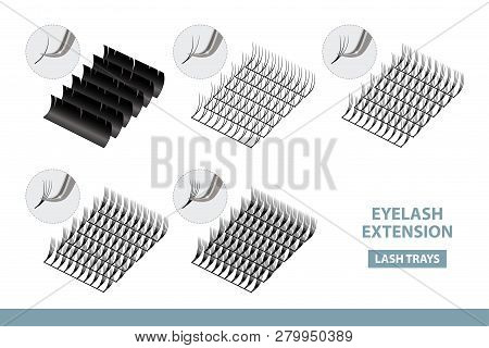 Eyelash Extension Application Tools And Supplies. Volume Artificial Lashes Set. Vector Illustration.