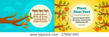Tree Persimmon Banner Set. Flat Illustration Of Tree Persimmon Banner Set For Web Design