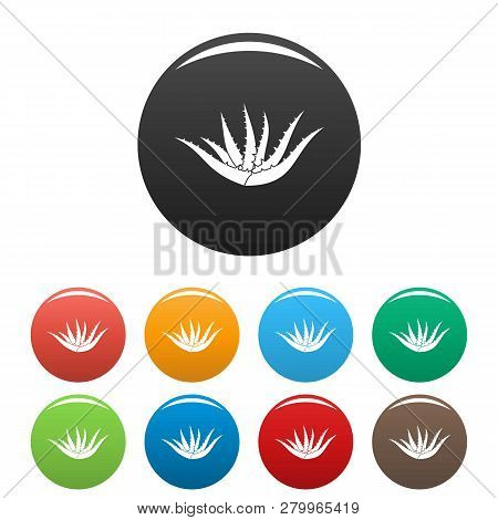 Aloe Plant Icons Set 9 Color Isolated On White For Any Design