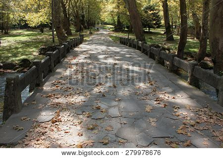 Agios Nikolaos Park Near Naousa Greece Europe