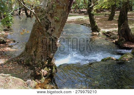 Agios Nikolaos Park Near Naousa Greece Europe