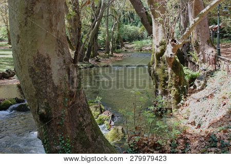 Agios Nikolaos Park Near Naousa Greece Europe