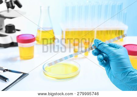 Laboratory Assistant Holding Litmus Paper For Analysis Over Table, Closeup