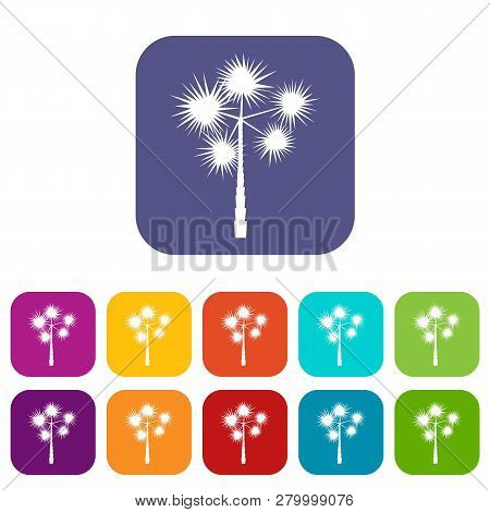 Palm Chamaerops Icons Set Illustration In Flat Style In Colors Red, Blue, Green, And Other
