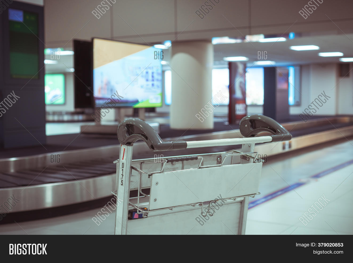 Airport Trolley Image & Photo (Free Trial) Bigstock