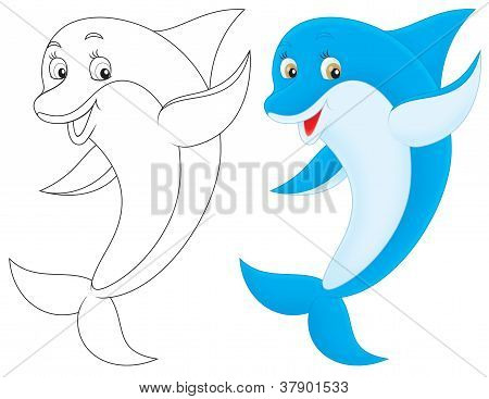 Delfin