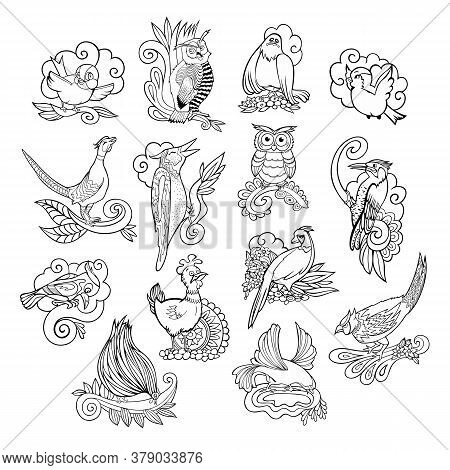 Hand Drawn Cartoon Doodle Vector Different Birds Set