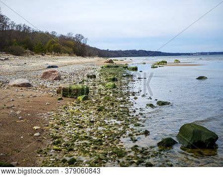 Baltic Coastline Under A Partly Cloudy Sky, Beautiful. Baltic Sea, Rocks, Landscape. Close Up. Green