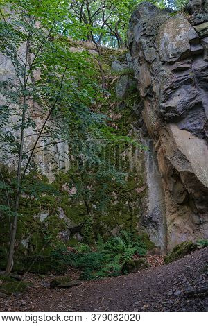 Close View On A Overgrown Rock Wall In A Forest.