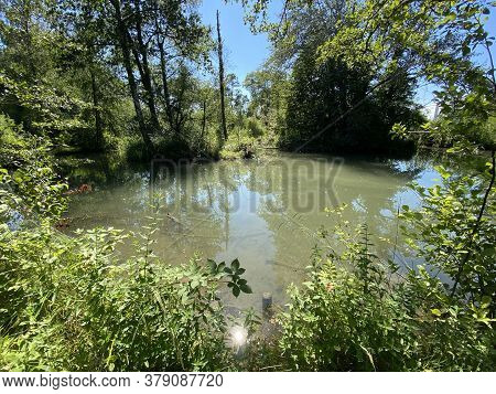 A Summer Landscape With Trees Along Small Lakes Or Ponds Along The Glatt River - Zürich (zuerich Or 