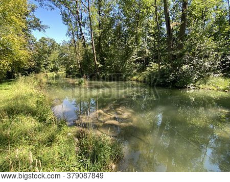 A Summer Landscape With Trees Along Small Lakes Or Ponds Along The Glatt River - Zürich (zuerich Or 
