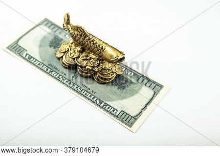 Image Of Fish Money White Background Studio