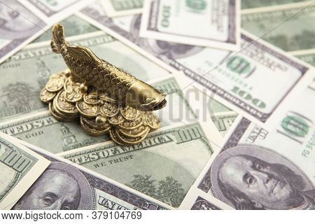 Image Of Fish Money Background Studio Light