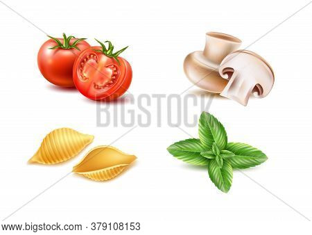 Vector Conchiglie Pasta Tomato Basil Mushroom Set