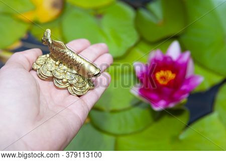 Image Of Fish Figure Hand Water Lily
