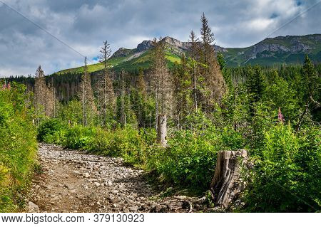 Tatra Mountain Landscape In The Summer. Picturesque Dolina Zeleného Plesa Valley In Slovak High Tatr