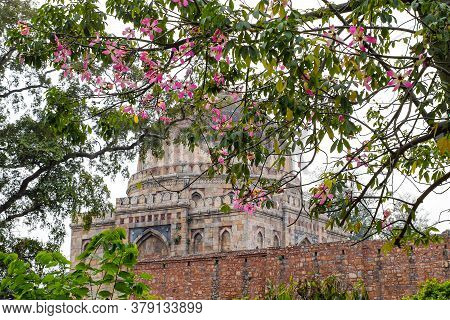 Mughal Architecture Inside Lodhi Gardens, Delhi, India, Arches Inside The The Three-domed Mosque In