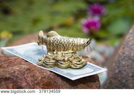 Image Of Gold Fish Figure Water Lily Background
