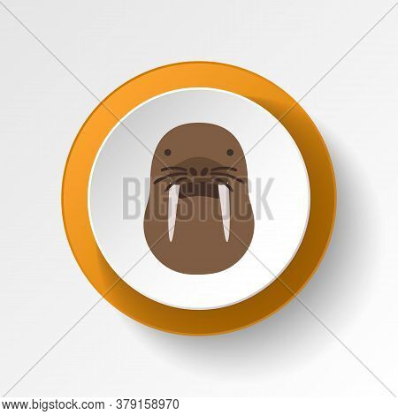 Walrus Color Icon. Elements Of Winter Wonderland Multi Colored Icons. Premium Quality Graphic Design