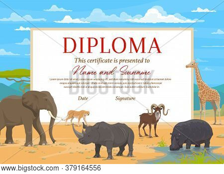Kids Diploma Certificate Vector Template With African Safari Animals. Education Award Of School, Pre