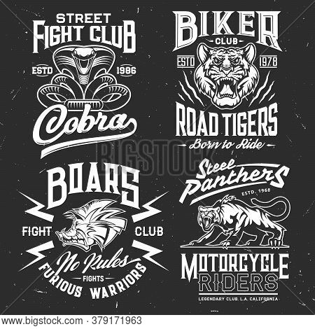 Tiger, Cobra, Panther And Boar T-shirt Print Vector Mockup Of Fight Sport And Biker Club Custom Appa