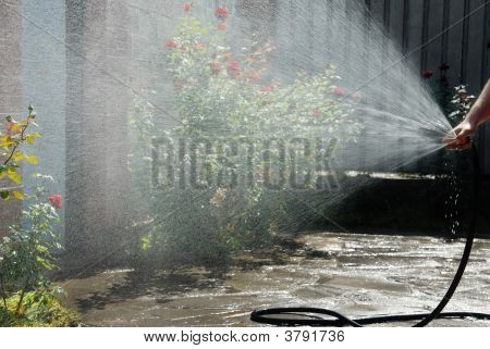 Work Of Gardener