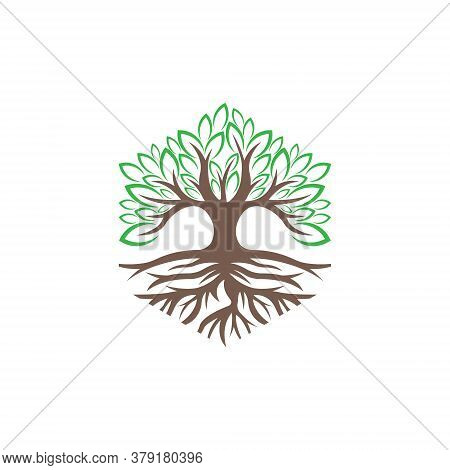 Tree. Tree 矢量图和照片（免费试用） | Bigstock