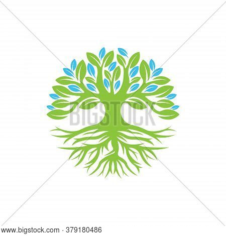 Tree. Tree Logo. Tree Logo vector. Tree icon vector. Tree icon. Tree Logo Vector. Decorative Tree Logo. Tree Logo design. Tree Logo vector. Tree Logo icon vector. Tree Sign. Tree Symbol. Abstract Tree logo vector design template illustration.