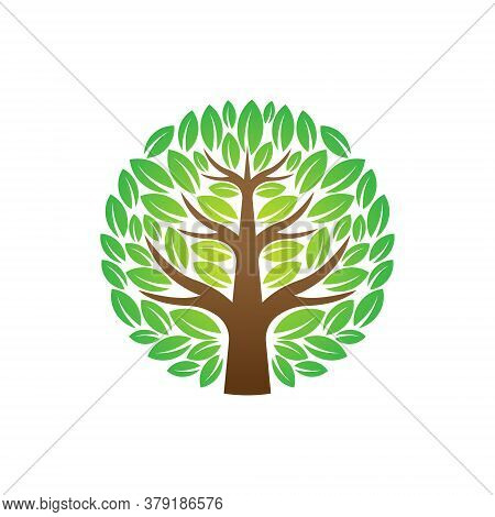 Tree. Tree Logo. Tree Logo vector. Tree icon vector. Tree icon. Tree Logo Vector. Decorative Tree Logo. Tree Logo design. Tree Logo vector. Tree Logo icon vector. Tree Sign. Tree Symbol. Abstract Tree logo vector design template illustration.