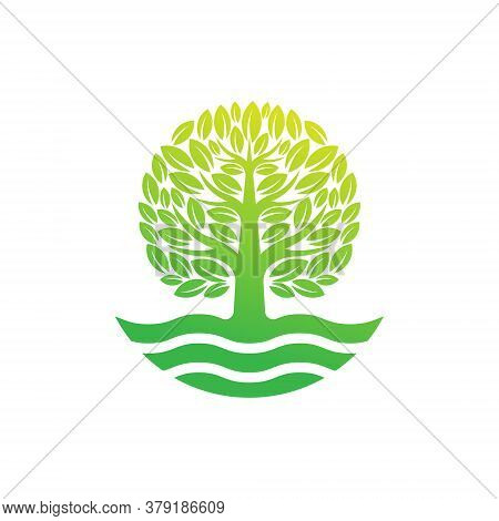 Tree. Tree Logo. Tree Logo vector. Tree icon vector. Tree icon. Tree Logo Vector. Decorative Tree Logo. Tree Logo design. Tree Logo vector. Tree Logo icon vector. Tree Sign. Tree Symbol. Abstract Tree logo vector design template illustration.