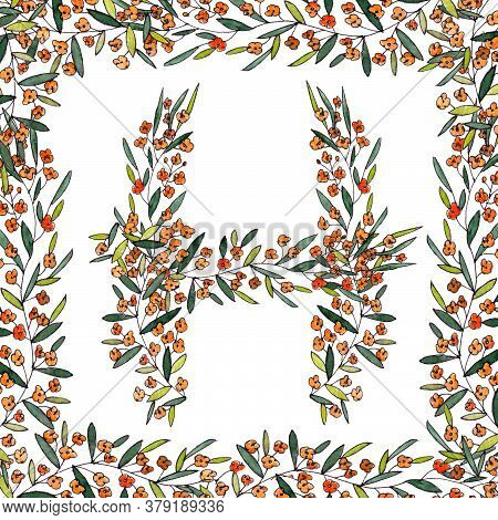 Letter H Of The English And Latin Floral Alphabet. Graphic In Square Frame On A White Background. Le