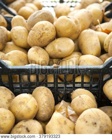 Raw Potoato Displeyaed For Sale On A Farmer Market.
