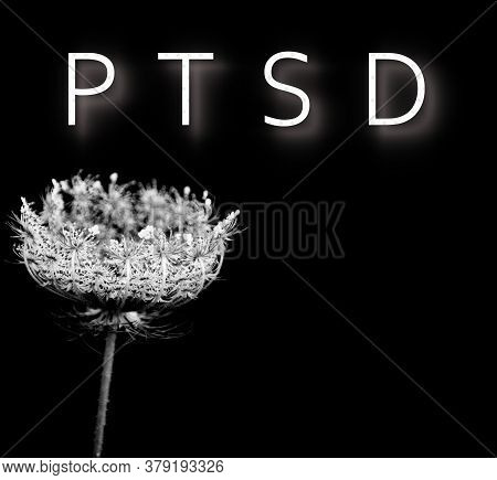 Text Ptsd On A Black And White Picture Of A Wild Herb, Concept