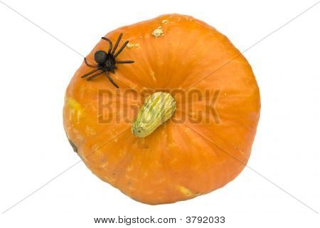 Halloween-Serie auf weiß