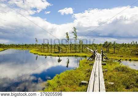 Swamp In Kemeri National Park In Jurmala, Latvia.